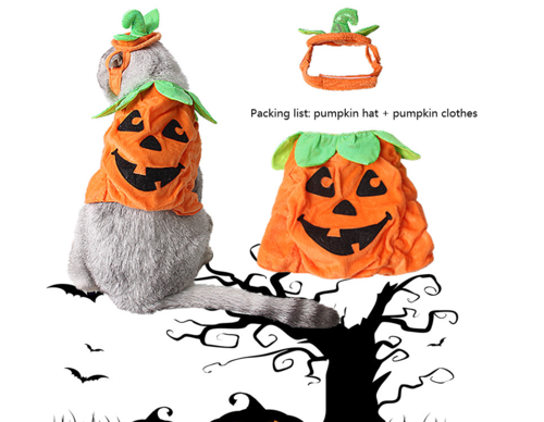 Halloween Pumpkin Costume for Cats – Cute Pet Outfit