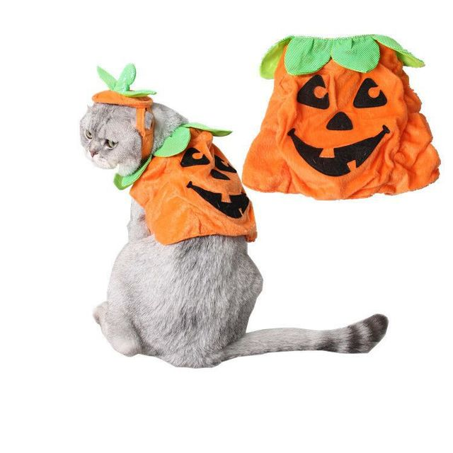 Halloween Pumpkin Costume for Cats – Cute Pet Outfit