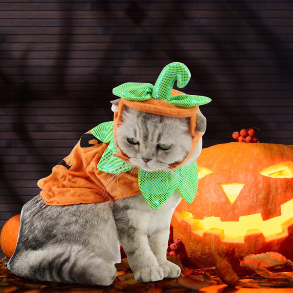 Halloween Pumpkin Costume for Cats – Cute Pet Outfit