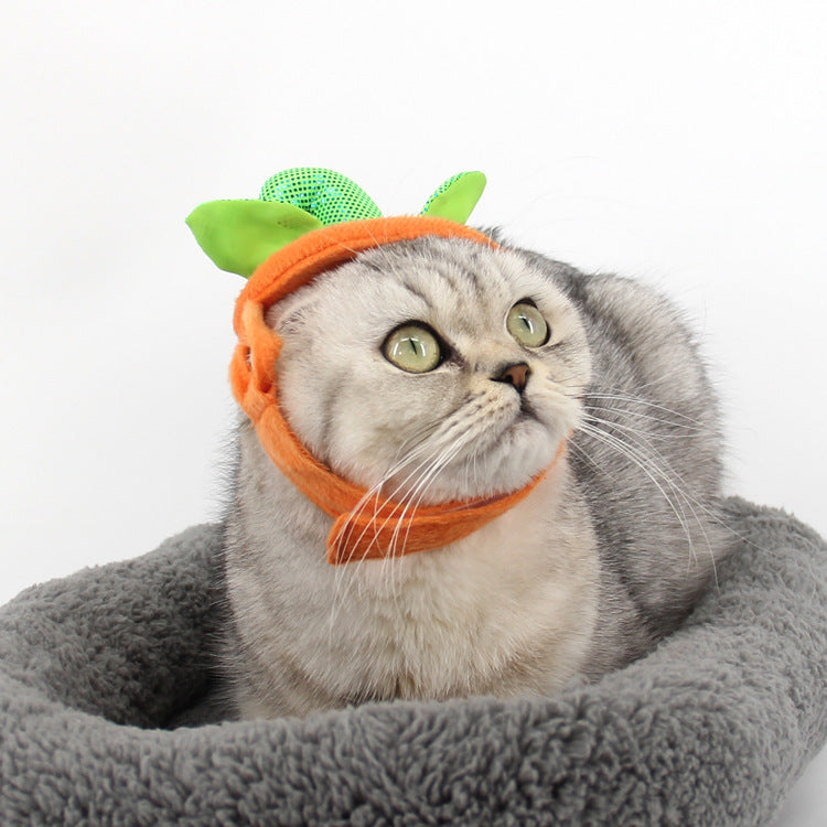 Halloween Pumpkin Costume for Cats – Cute Pet Outfit