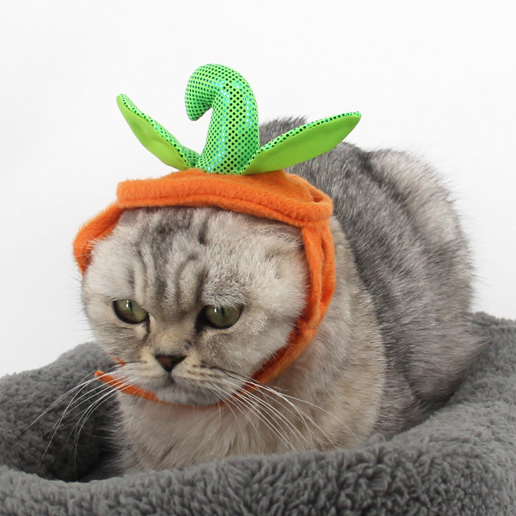 Halloween Pumpkin Costume for Cats – Cute Pet Outfit