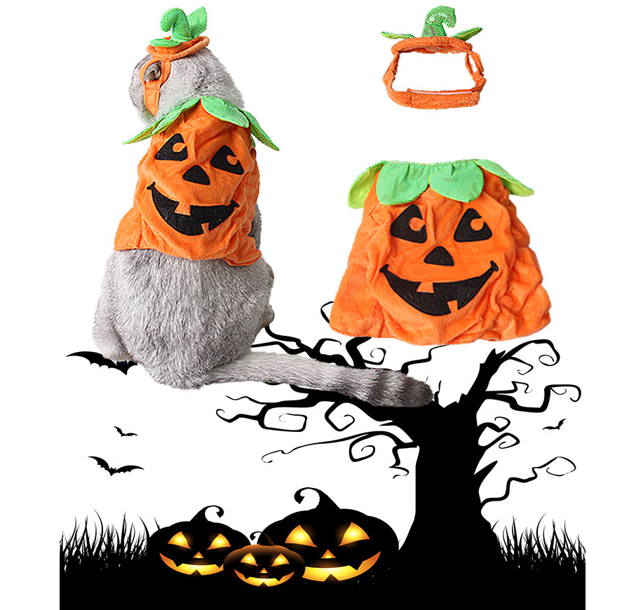 Halloween Pumpkin Costume for Cats – Cute Pet Outfit